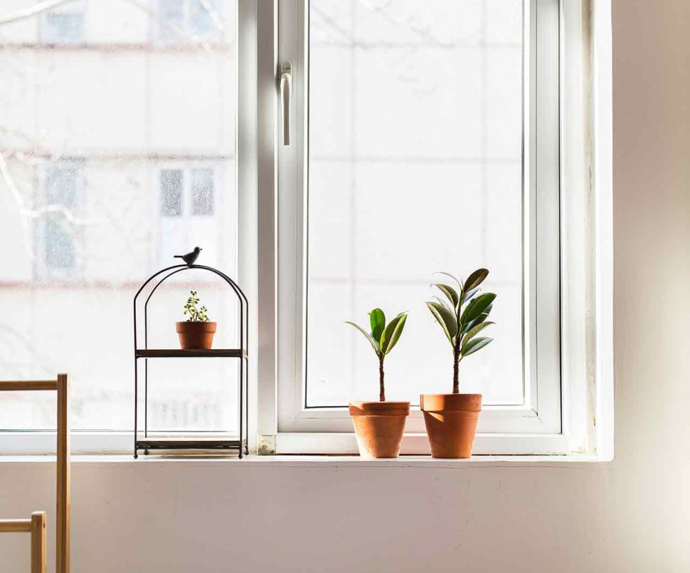 Spolupráca s portálom DAIBAU